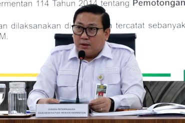 Pemerintah tegaskan ketersediaan stok pangan aman jelang Idul Adha