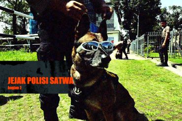 Jejak polisi satwa (bagian 2)