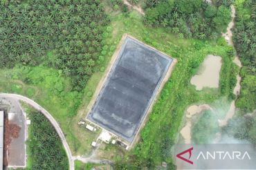 PKS Tapung Optimalkan Limbah Jadi Pupuk Organik dan Energi Baru Terbarukan