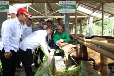 Zakat produktif memperkuat kemandirian ekonomi mustahik di NTB