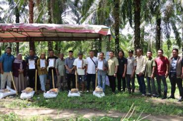 Pemkab Aceh Timur pulihkan 411 hektare kebun sawit terdampak banjir