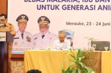 Pemprov Papua Selatan perkuat sistem pangan lokal