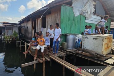 DJP sebut penerimaan pajak Papua naik 22,33 persen hingga akhir Mei 2026