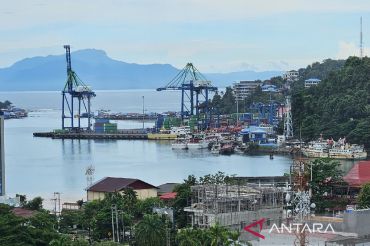 Bea Cukai catat penerimaan kepabeanan Papua capai Rp95,15 M hingga Mei 2026