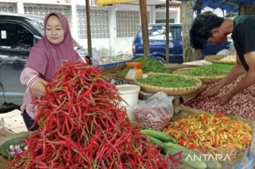 Inflasi Riau pada Juni 2026 capai 0,35 persen, cabai merah penyebab utamanya