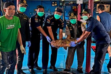 Karantina: Perikanan dari Natuna mampu bersaing di pasar ekspor