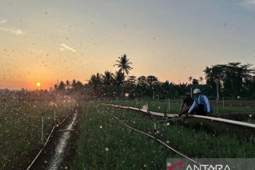 Tarif listrik triwulan III 2026 tetap PLN jalankan kebijakan pemerintah