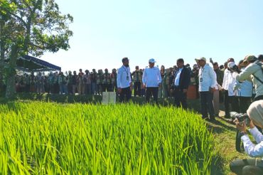 Mentan mengajak petani Lombok terapkan sistem pola tanam modern PMAAS