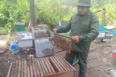 Cerita nekat Bambang Sugeng: dari bangkrut hingga mendulang emas cair di Hutan Akasia Perawang