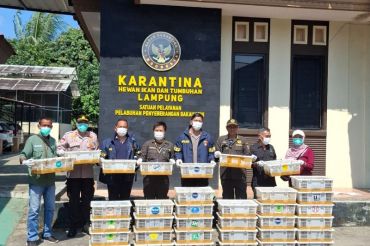 Karantina Lampung sebut Bakauheni rawan penyelundupan satwa