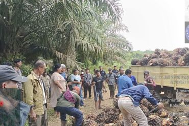 PTPN IV tempuh jalur hukum sikapi aksi pencurian sawit terorganisir di Sei Berlian