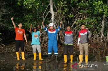Peringati Hari Mangrove Sedunia, Kilang Plaju tegaskan komitmen jangka panjang lestarikan ekosistem pesisir