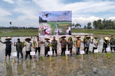 Pemkab Aceh Utara gencarkan tanam padi serempak