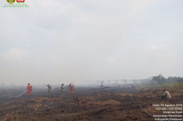 Manggala Agni terkendala sumber air padamkan karhutla hampir 50 hektar di Riau