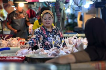 Kenaikan harga ayam ras di 188 daerah perlu diwaspadai