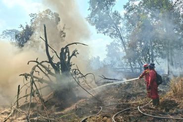 Manggala Agni buat 19 embung tangani karhutla di Pelalawan Riau