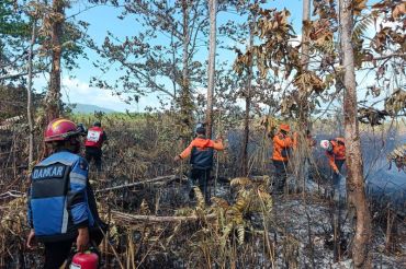 BPBD: Karhutla di Banggai Kepulauan capai 72,4 Hektare