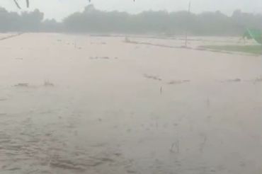 Hujan deras, puluhan hektare lahan pertanian di Simeulue terendam banjir