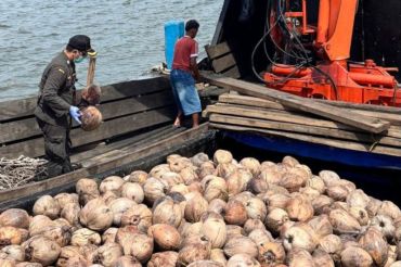 Karantina Kepri libatkan desa awasi lalu lintas komoditas hewan dan tumbuhan di Natuna