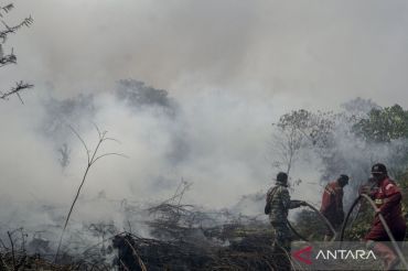Roni Pasla ingatkan ancaman kabut asap, kesehatan masyarakat harus prioritas