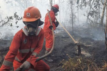 Atasi Karhutla Kalimantan, Modifikasi Cuaca Terus Dioptimalkan