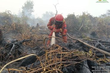 Luas karhutla di Kerumutan Pelalawan sudah capai 702 hektare