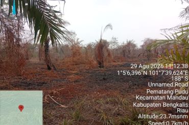 Pemilik kebun sawit di Bengkalis jadi tersangka pembakar lahan