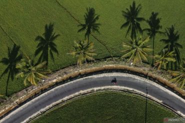 Pengaspalan jalan kawasan pertanian di Kendari