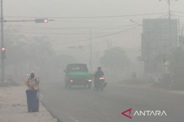 PDPI: Warga perlu informasi indikator kualitas udara saat karhutla