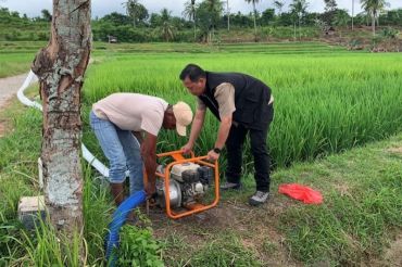 Distan mobilisasi mesin pompa selamatkan padi dari kekeringan