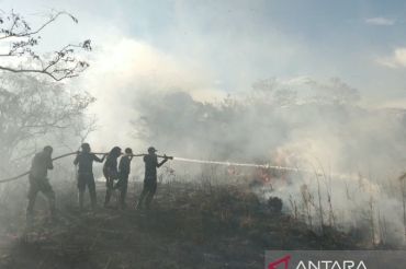 Prajurit Kodim 1702/Jayawijaya bantu penanganan karhutla di Wouma