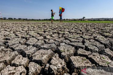 Waduk Sumberkepuh mengering, sekitar 400 hektare lahan pertanian kekurangan air di Nganjuk