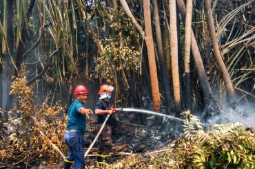 PTPN IV Regional III bantu Satgas tanggulangi Karhutla Riau di Tiga Kabupaten