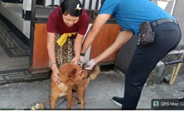 Pemkot Mataram memperkuat penanganan kasus gigitan hewan penular rabies