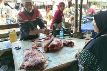 Pemotongan sapi di RPH Kota Mataram naik selama Maulid Nabi