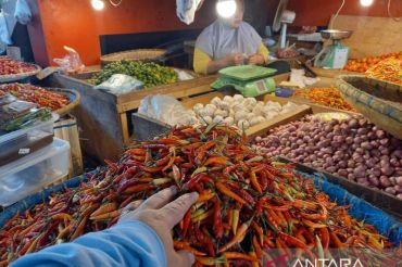 Pemprov Sulut pasok cabai rawit 3.000 kg dari Makassar