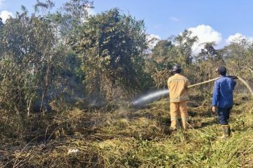 Koltim terapkan pembelajaran daring dampak asap karhutla
