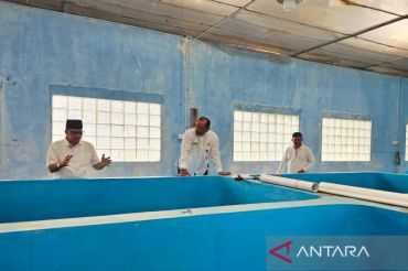 Diskan Natuna hasilkan puluhan ribu benih ikan air tawar