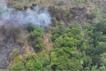 Indonesia's Mount Ciremai fire extinguished after burning 46 hectares