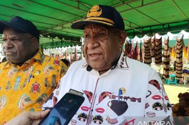 Pemprov dorong pelaku UMKM Papua Pegunungan terus berinovasi