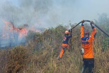 BPBD tangani tiga titik api baru di wilayah Kecamatan Pamona Tenggara