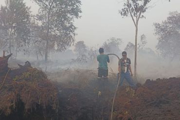 APHI Riau gotong royong dan kolaborasi tingkat tapak cegah dan pemadaman Karhutla paling efektif