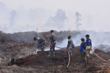 Karhutla di Kobar mulai mengancam Hutan Kemasyarakatan Masoraian