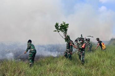 Komite gabungan turut tangani karhutla di TNWK Lampung