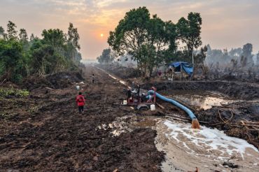Dukung pencegahan karhutla, PT RHM lakukan pembasahan lahan gambut di musim kemarau