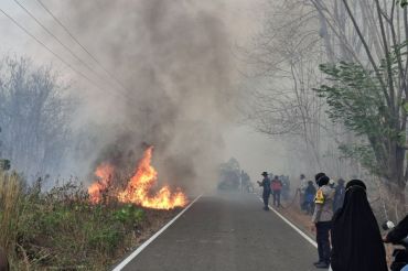 Penegakan hukum karhutla jangan berhenti pada perorangan