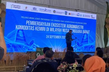 Kemenkeu meminta NTB perluas pasar global kemiri