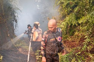 Terhitung hari ini Riau sudah nol kebakaran hutan dan lahan, BPBD tegaskan tetap siaga
