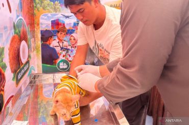 Barantin hadirkan layanan vaksin rabies gratis bagi warga Palu