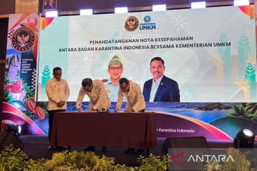Kementerian UMKM-Barantin perkuat produk Sulteng tembus pasar global